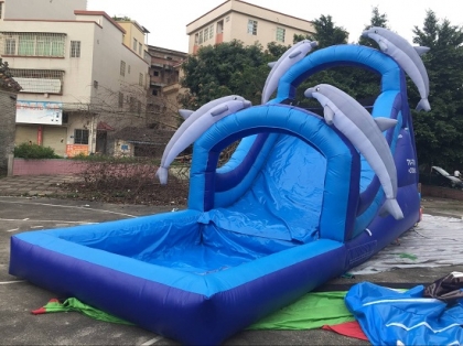 Inflatable dolphin water sli...