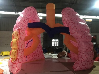 inflatable lung