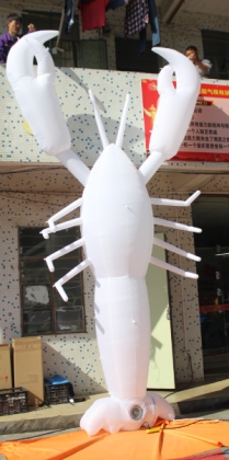 white inflatable lobster