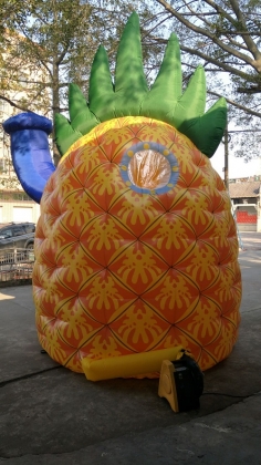 inflatable pineapple dome te...