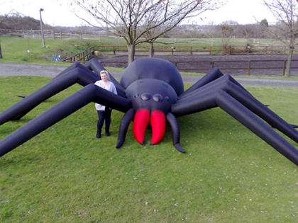 inflatable spider, adverisin...