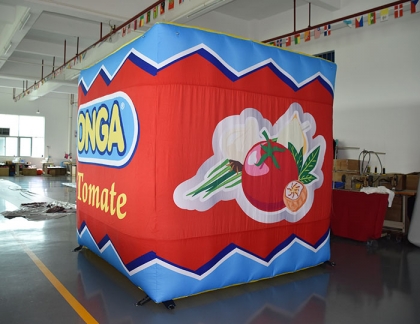 dual layer inflatable cube b...