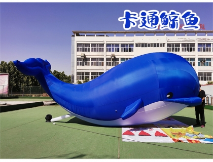 Blue inflatable marine whale...