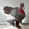 boyi inflatable turkey , inf...