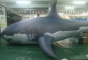 PVC inflatable custom shark ...