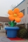 inflatable flower for decora...