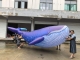 pvc inflatable whale balloon...