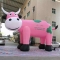 inflatable pink milk cow ani...