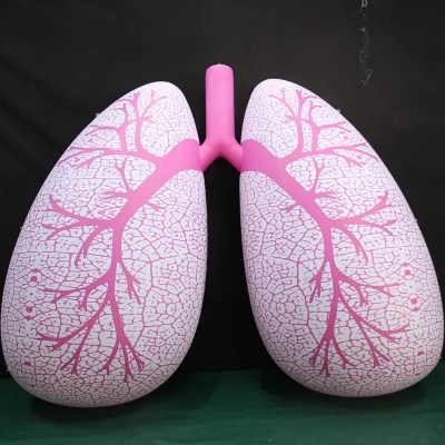 inflatable lung balloon