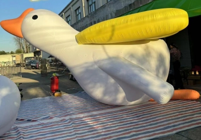 inflatable swan bird , infla...