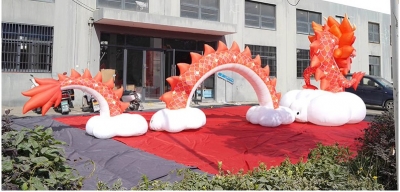 Giant Inflatable Dragon Infl...