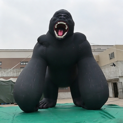 Custom Oversized PVC Giant I...