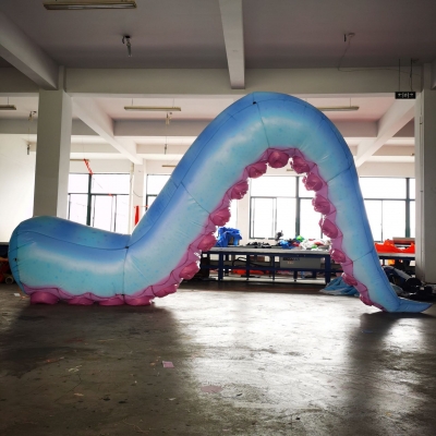 Indoor Decor Inflatable Octo...