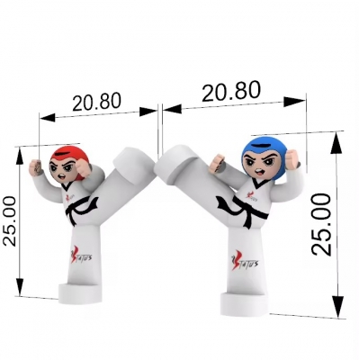 inflatable Taekwondo air dan...
