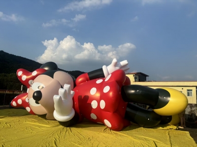 BOYI Sealed Floating Inflata...
