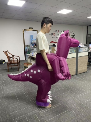Inflatable Dinosaur Riding C...